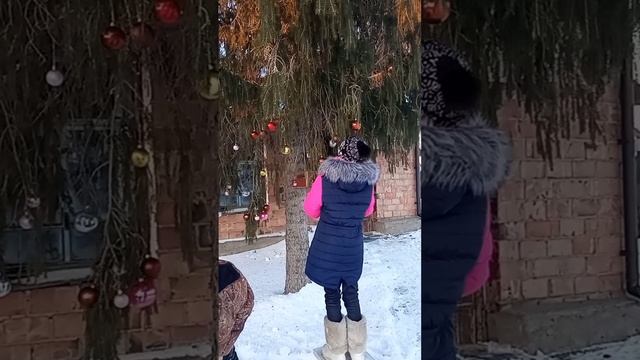 Ёлочка