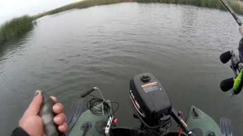 Kosadaka Boxer XS 40F. Обзор. Первые Впечатления От Ловли.