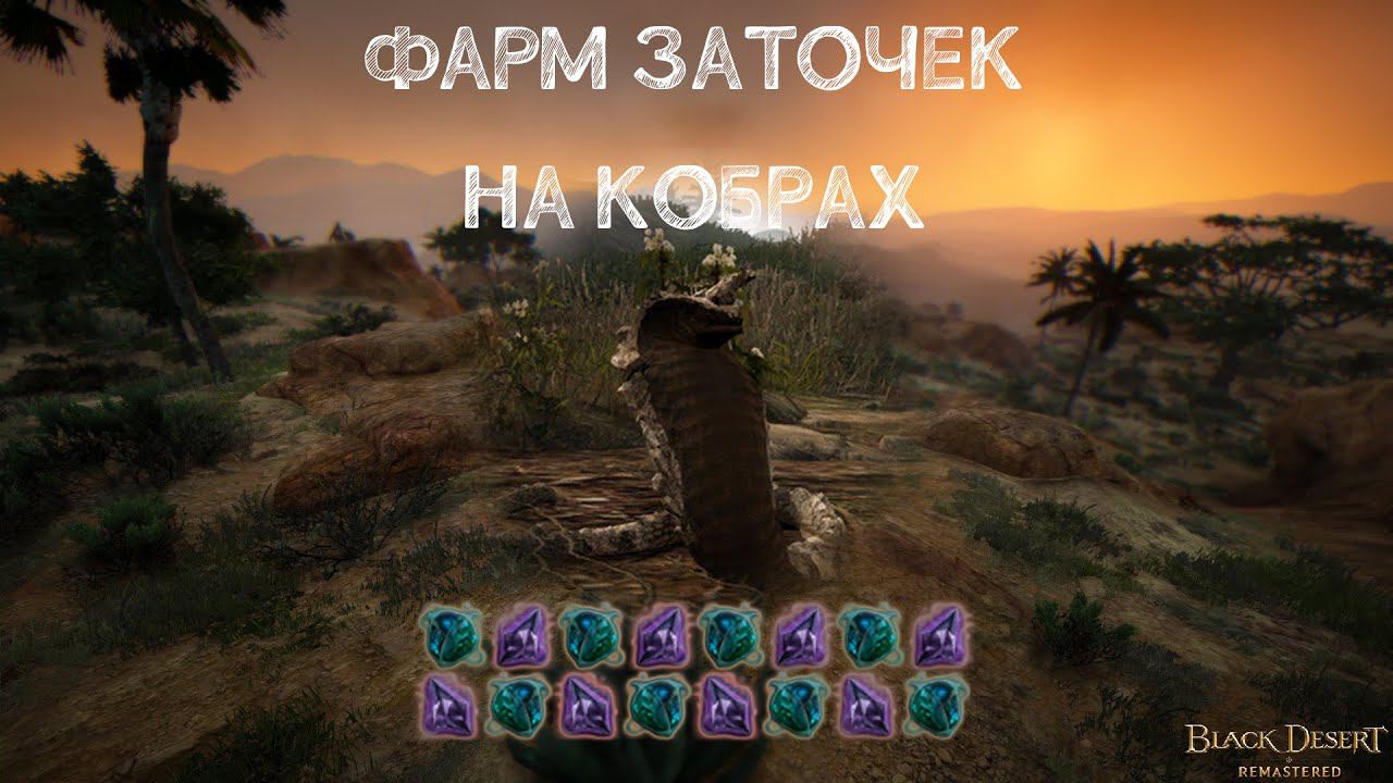 BDO Проклятая горная кобра