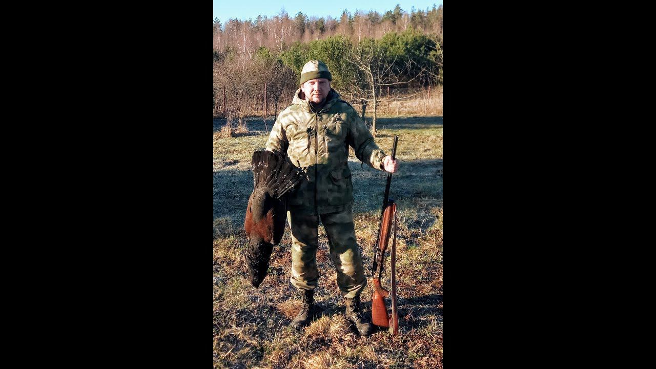 Охота на глухаря на току. Весенняя охота 2019.