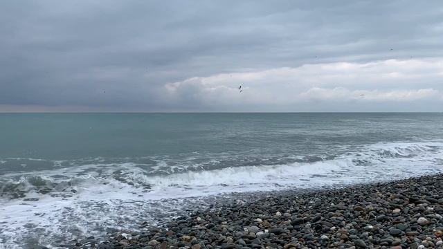 #ВФМ2024. Чёрное море в федеральной территории Сириус