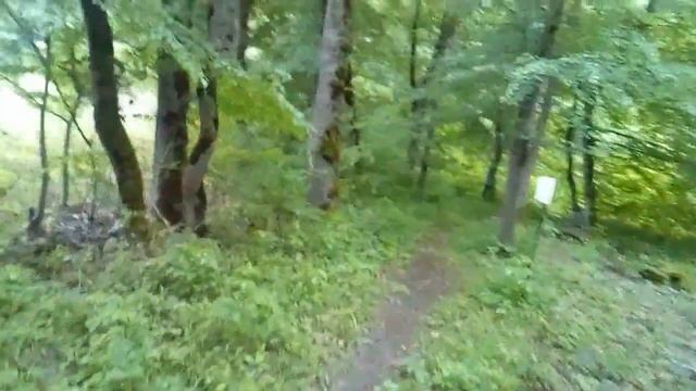 Шли-дошли. Хаджохские дольмены.
