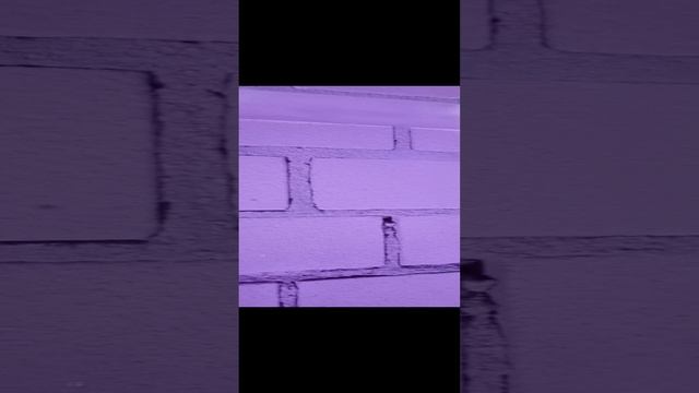 пробные выкрасы .mp4