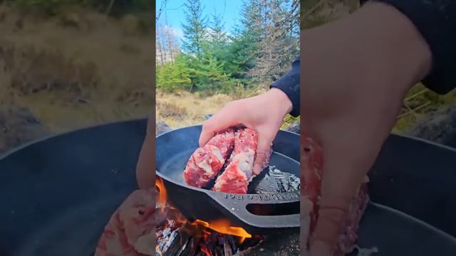 Juicy T-bone Steak 🥩 with French Fries Cooked in Nature