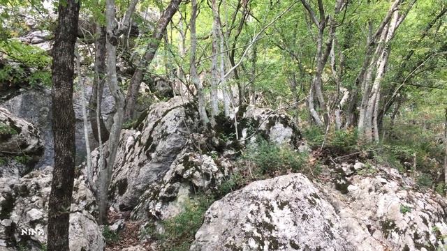 Послушайте Красивую МУЗЫКУ, Любуясь Осенней ПРИРОДОЙ Крыма!