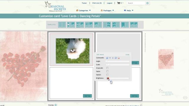 Scale, Rotate & Effects on Photos and Text