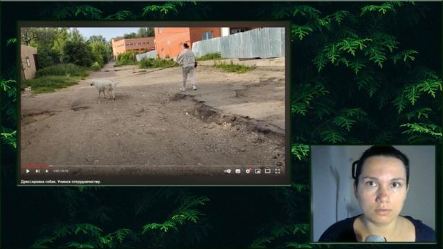 Как НЕ надо гулять с собакой Комментирую видео зоопсихолога Евгении Маныкиной