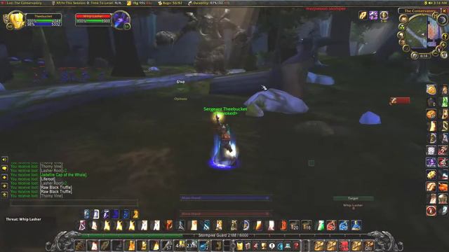 WoW Classic Lasher Farm (Holy Paladin)