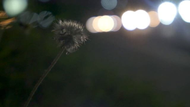 Sony NEX-5N Night Video Sample