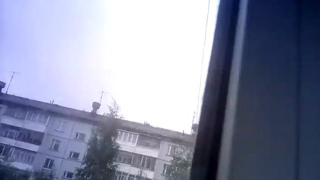 Мой кот охотится