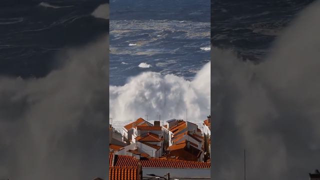 Где только не живут: Самые огромные волны в мире и самый шумный океан в городе Назаре, Португалия.