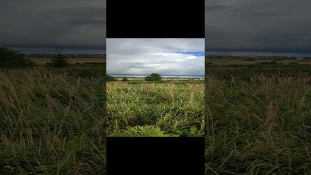 Моё скромное деревенское хозяйство