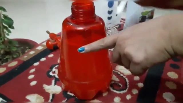 How to Make Neem Oil Pesticide | Fun Gardening