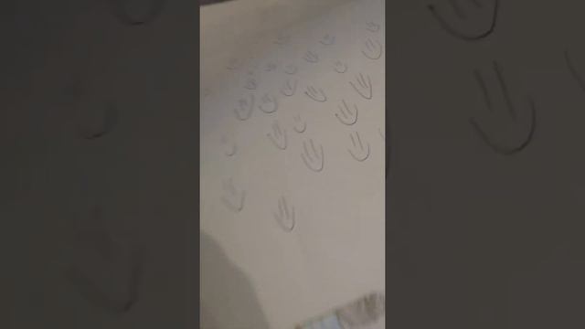 В конце у меня отключилась камера  мои ресунки