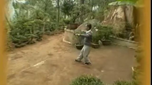 Восстановление костного мозга нэйгун в даосской традиции