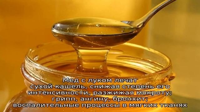 Как правильно готовить и применять лук с медом от кашля