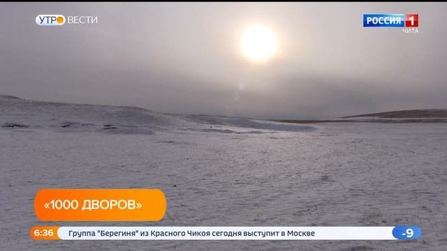 Более 100 тысяч голов скота вошли в зимовку в Агинском