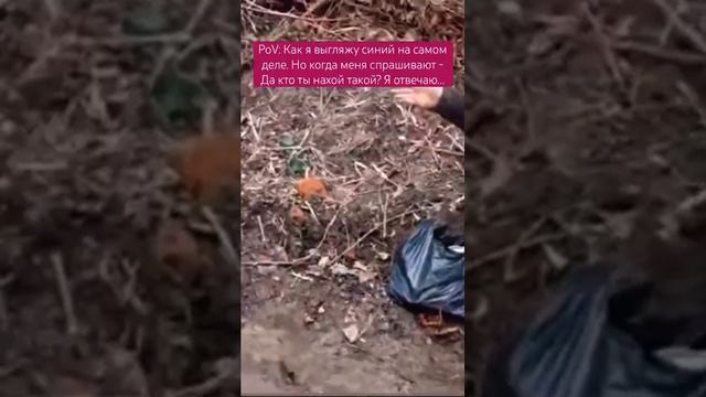 На словах ты Ле Толстой
