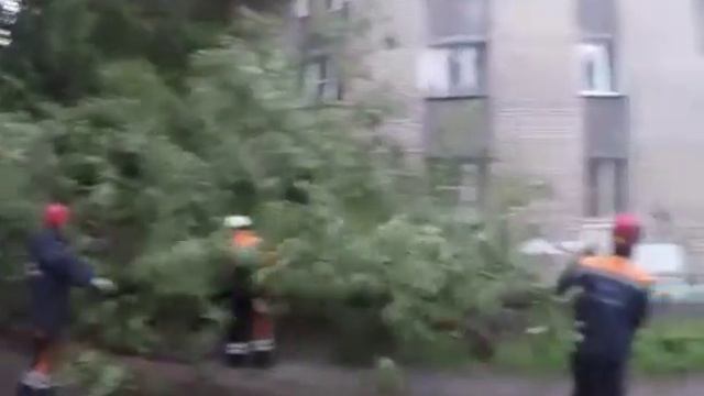 ЦГЗ пилит деревья и трубы