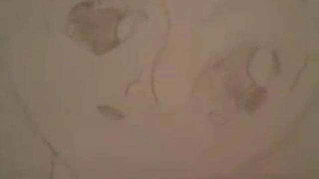 Мои рисунки аниме