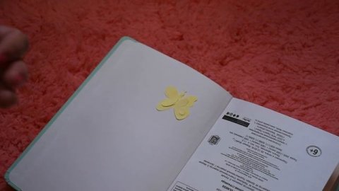 ФАВОРИТЫ КАНЦЕЛЯРИИ-(ВЕСНА)