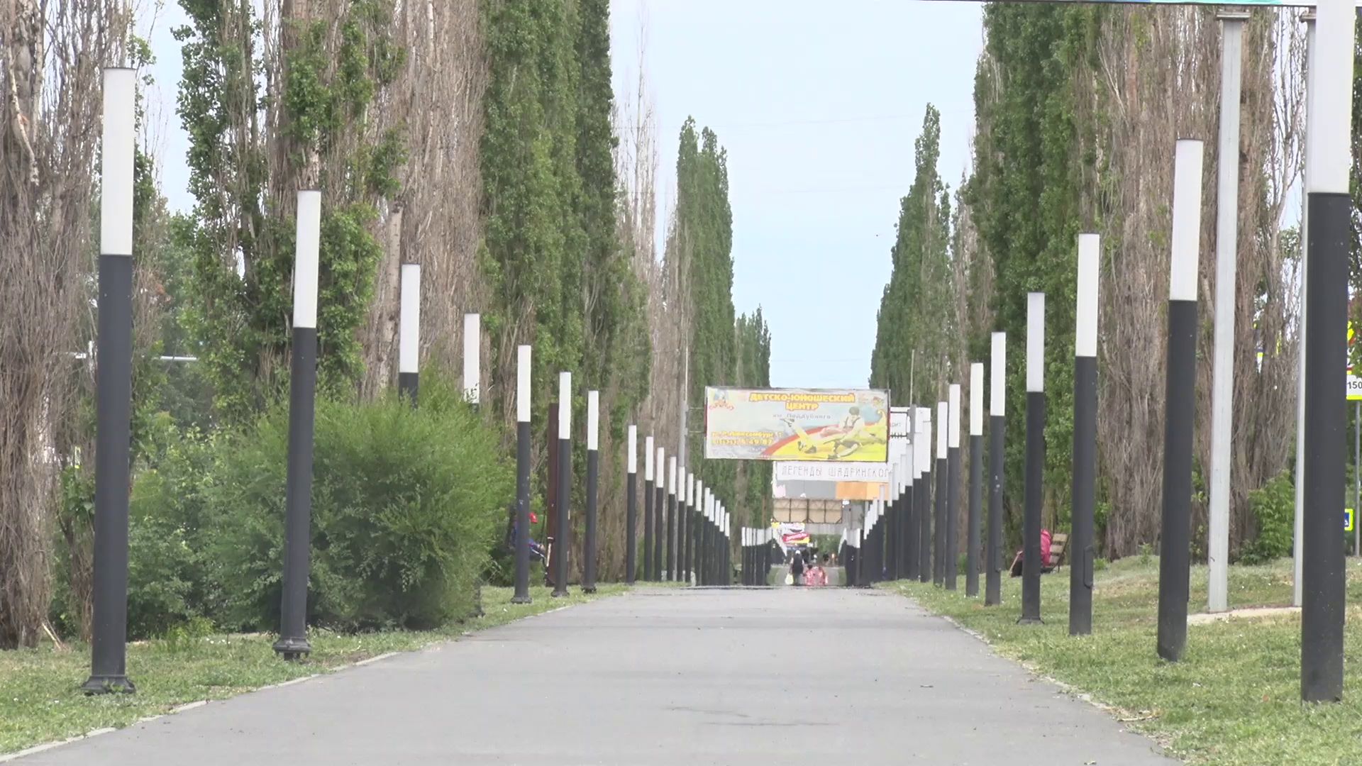 В Шадринске уберут аварийные пирамидальные тополя 2023-06-19