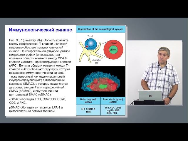 Купраш Д.В. 8 лекция из цикла