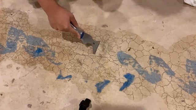 [Quick How-to] Remove glued carpet padding (underlayment) from concrete floor