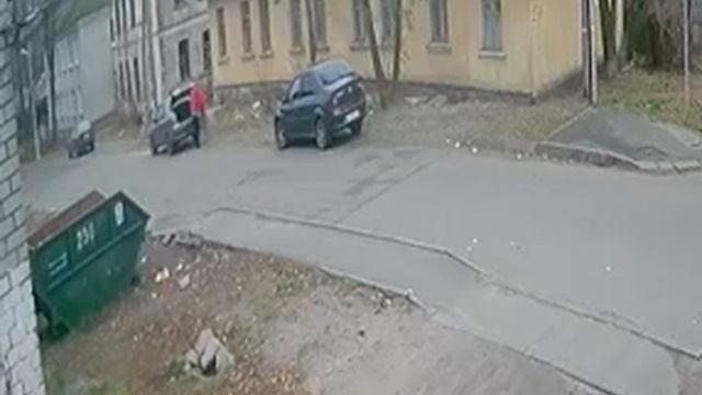 Мужик выбросил трех котят в Брянске
