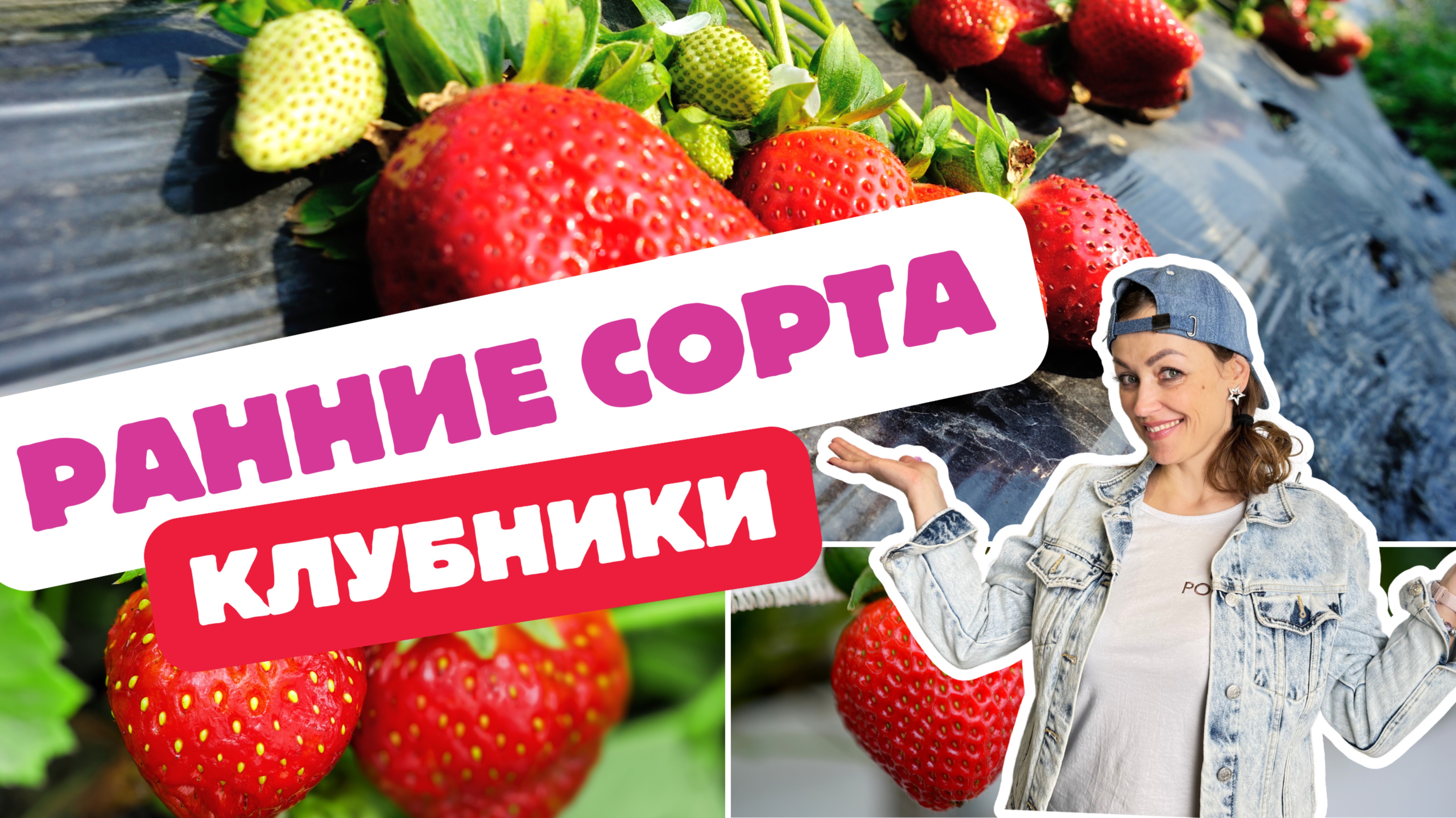 Раннеспелые сорта клубники🍓 Топ 5