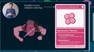 Tour 1: Bacteria – card deck with some of the most interesting species