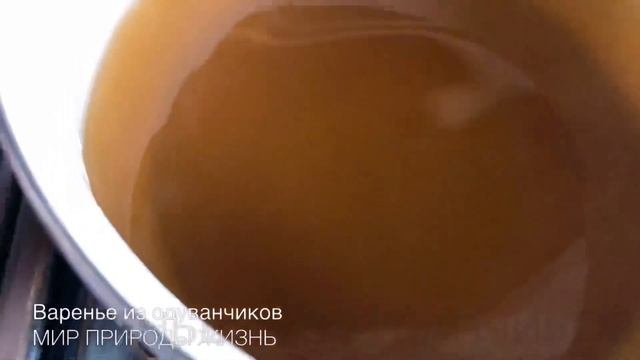 Варенье из одуванчиков полезный рецепт.Лечебные свойства варенья и схемы применения при заболевания