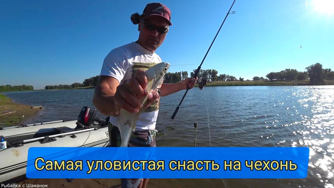 АХТУБА/БОЛХУНЫ 2023 (часть 5) Чехонь.