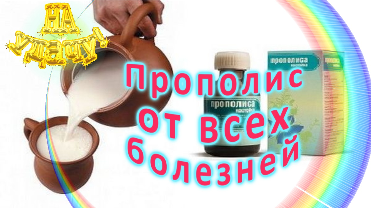 Прополис от всех болезней