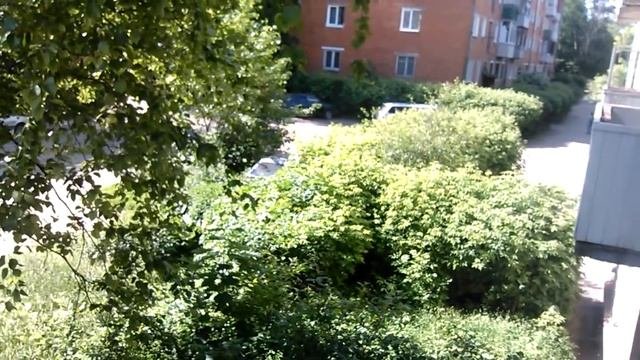 Стрижка кустов для ухудшения атмосферы города