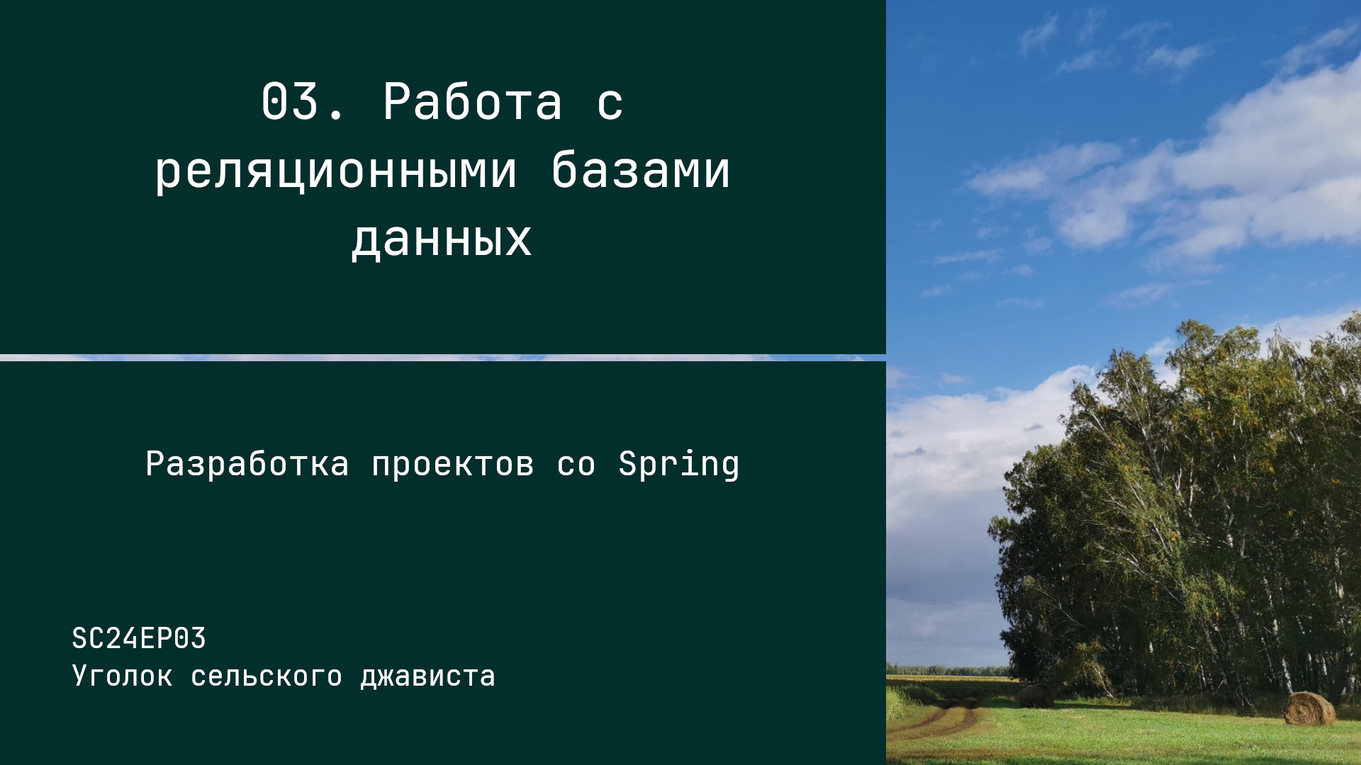 SC24EP03 Работа с базами данных - Разработка проектов со Spring #java #spring #data #jpa #sql