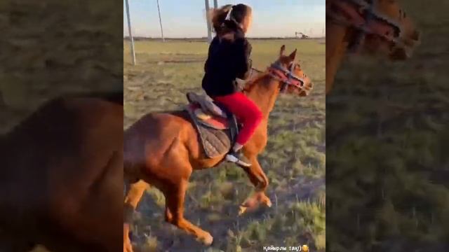 Как сестра Димаша Кудайбергена Раушан  галопом скачет на лошади