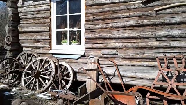 Первые грибы и снег в лесу. Такая вот весна!