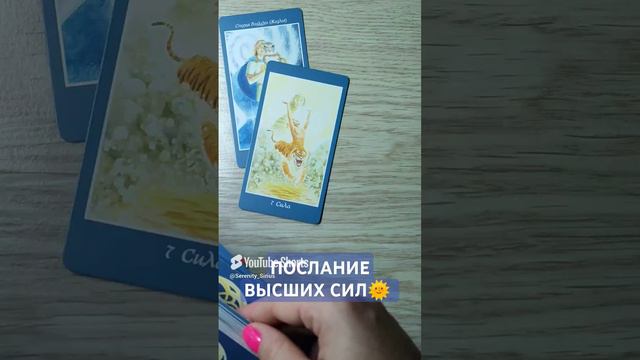 ПОСЛАНИЕ ВЫСШИХ СИЛ🌞 совет ВСЕЛЕННОЙ 💫 таро расклад