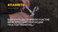 Барнаульцы высадили десятки кустарников в память о погибших малышах