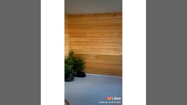 VID 21320904 155504 082