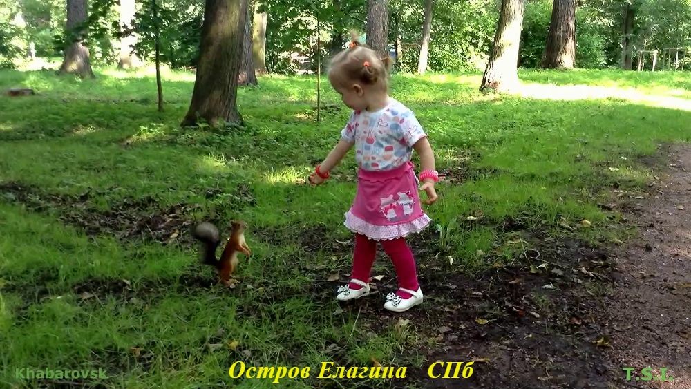 ЦПКО им. Кирова. Остров Елагина.