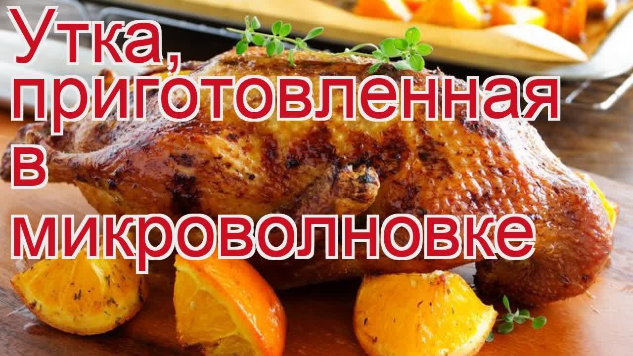 Рецепты из утки - как приготовить утки пошаговый рецепт - Утка, приготовленная в микроволновке