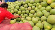 Навыки резки свежих фруктов помело. Тайская уличная еда