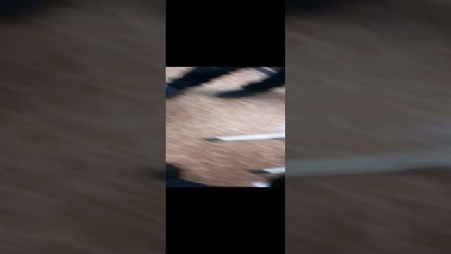 Готовимся к Новому году
