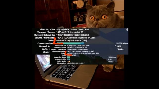 ЮТУБ ПОРТИТ КАЧЕСТВО ВИДЕО