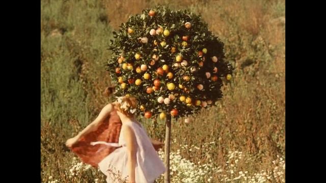 Mark Kermode reviews Daisies (1966) | BFI Player