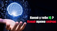 Тест IQ 30 вопросов !