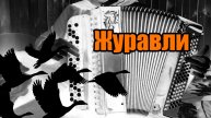Журавли (на баяне / accordion cover)