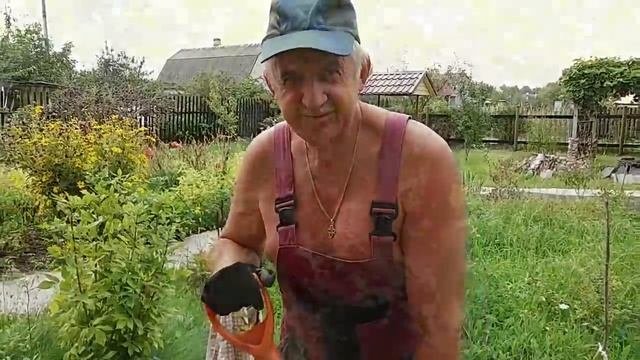 Делаем отмостку. Про Кузьку, Маркизку. Влог